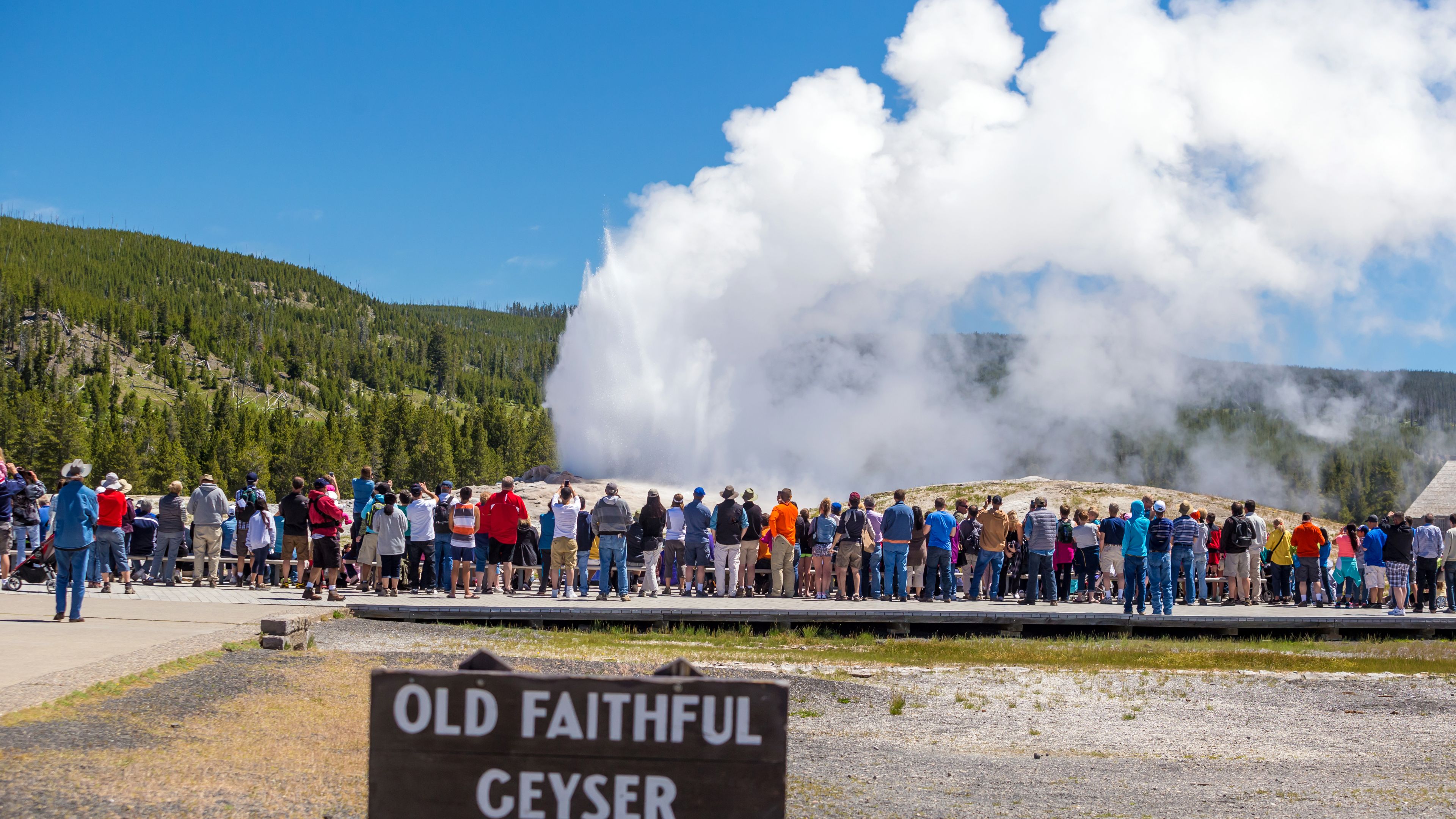 Yellowstone An agebyage family vacation guide Hertz